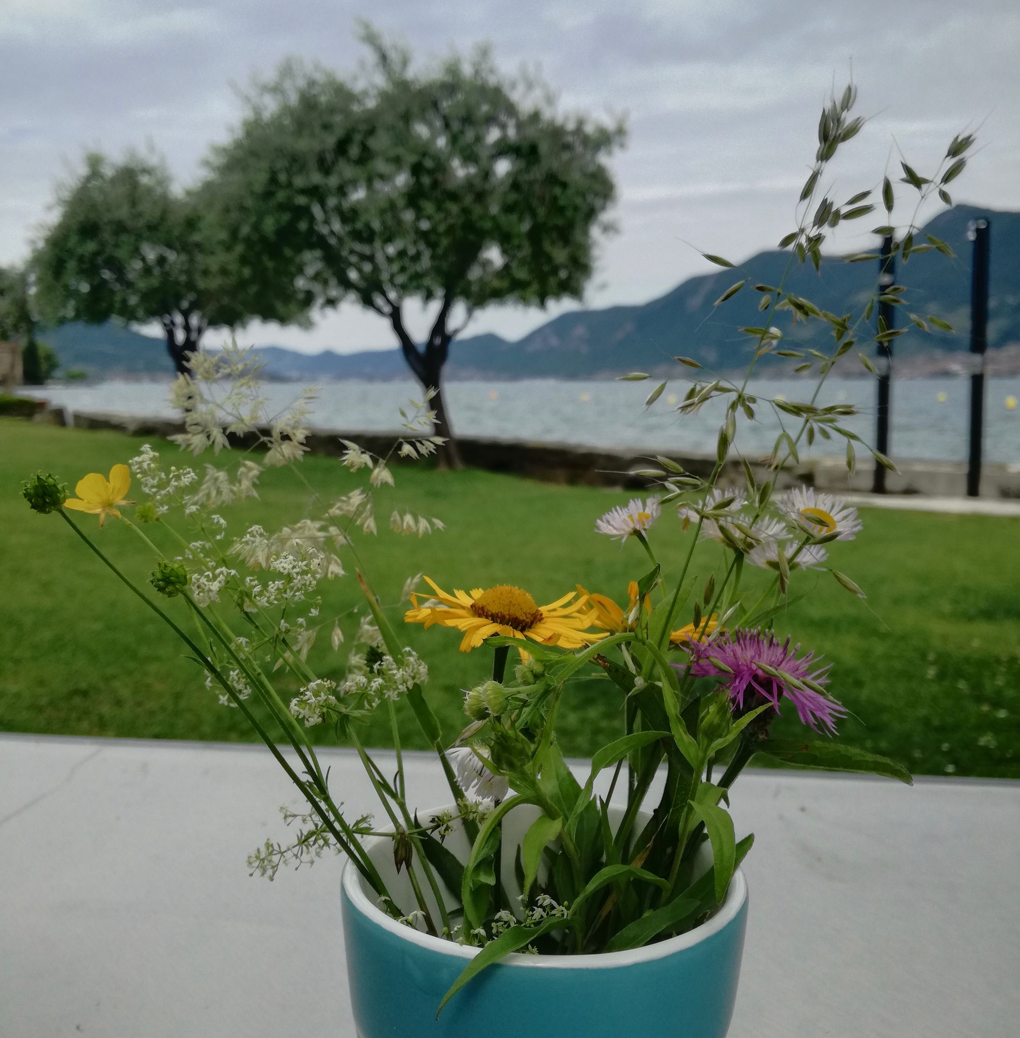 Nahaufnahme von einem Blumenstrauß, im Hintergrund erkennt man unscharf den See.