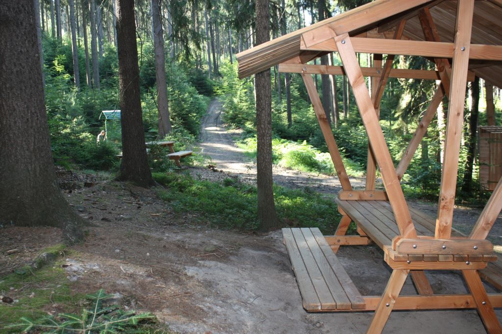 Biwakplatz auf dem Forststeig Elbsandstein, umgeben von Tannen.