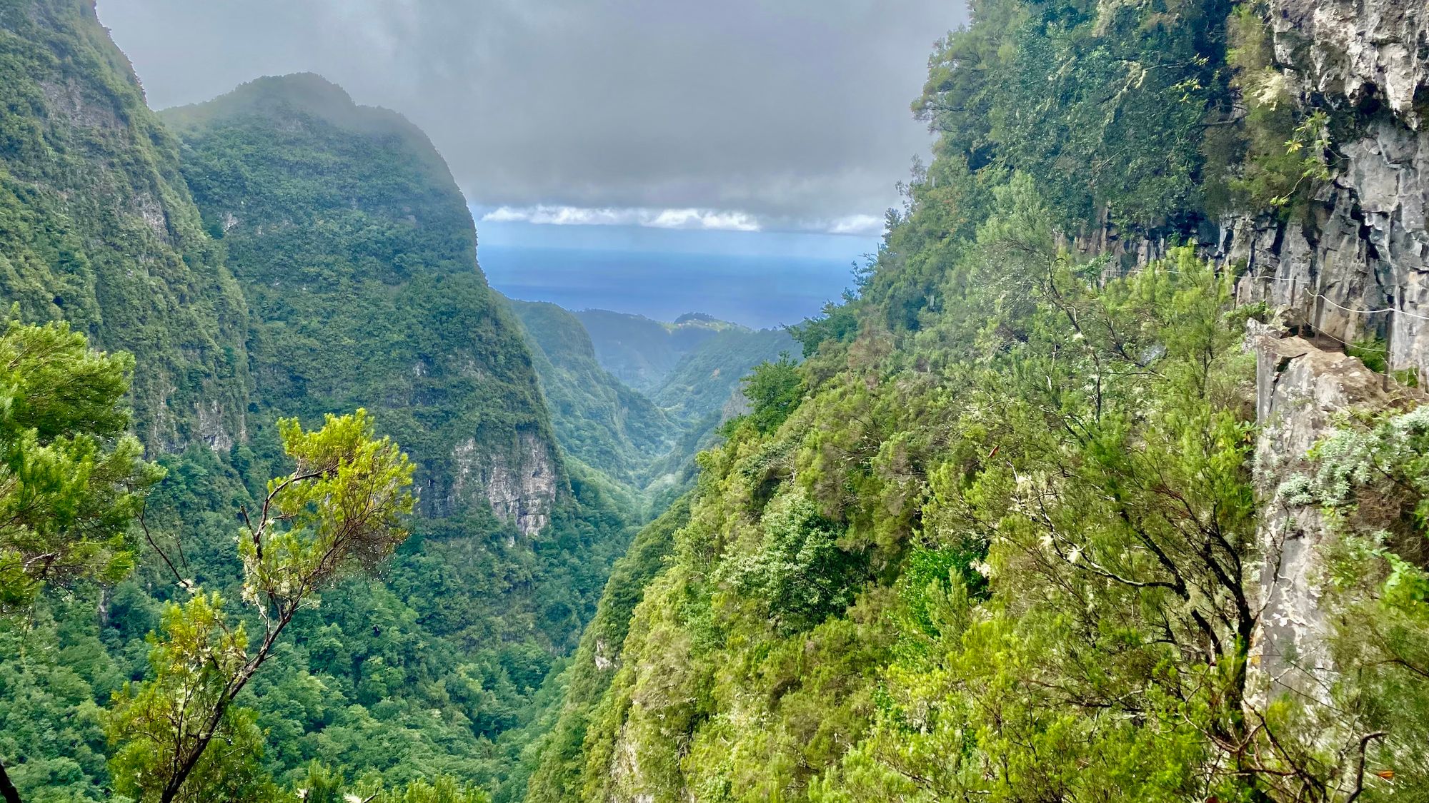 Blick über das gruene Tal der Levada Caldeirao