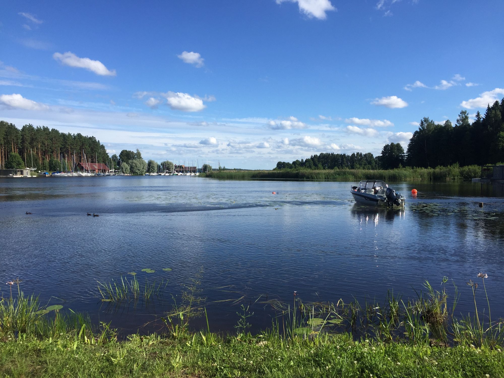 Blick auf den See Usma bei strahlendem Sonnenschein