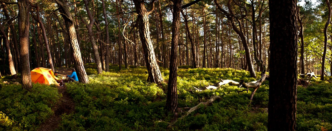 Wildcampen in Deutschland – das musst du beachten!