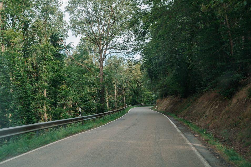 Bild von einer leicht geschwungenen Autostraße durch den Wald. 