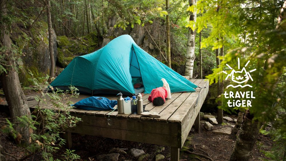 Auf einem Holzplateau im Wald ist ein blaues Zelt aufgebaut. 
