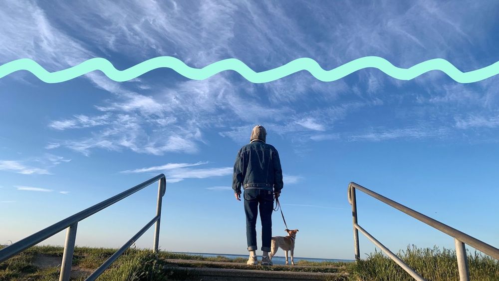 Bild von Mann und Hündin auf einem Deich unter ganz viel blauem Himmel.