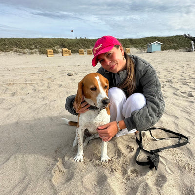 Profilfoto von Jule mit einem Hund am Strand.